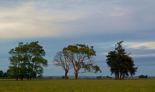 Evening walk-evening-walk.jpg