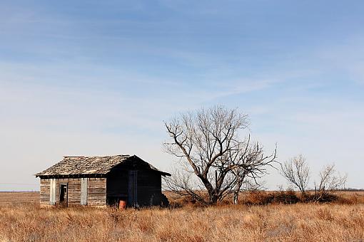 Weathered, Battered and Neglected-dsc_8050-2-800.jpg