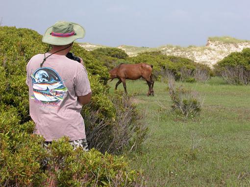 Looking At You, Looking At Me-shackleford-041reduced.jpg