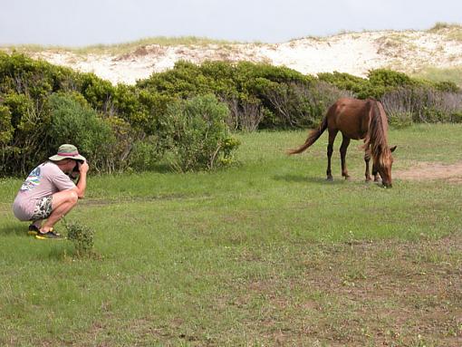 Looking At You, Looking At Me-shackleford-047reduced.jpg