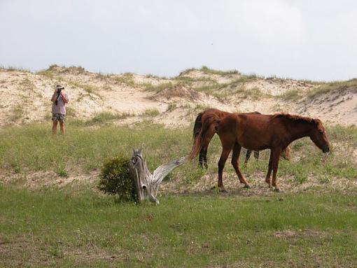 Looking At You, Looking At Me-shackleford-072reduced.jpg