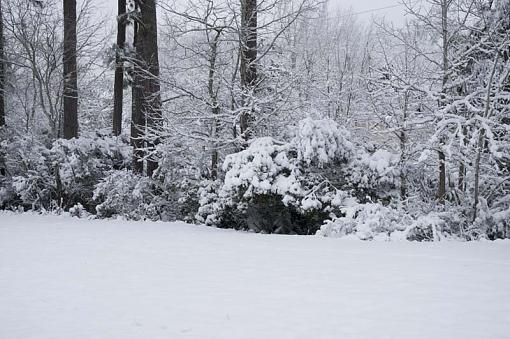 Snow In Coastal NC, AKA The Blizzard Of 2010-snow-10-02-16-038pr.jpg