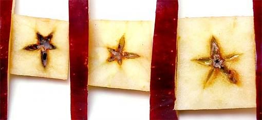 For Kellybean:Stars and Stripes-post-applestars.jpg