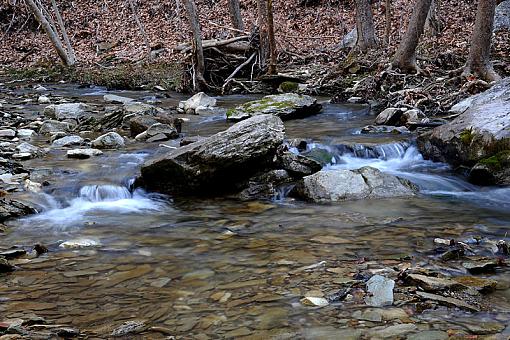 An Early Spring Walk-dsc_1125-2-800.jpg