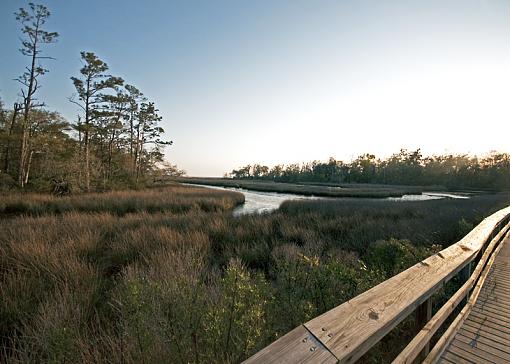 Sun going down on the bayou-dsc_7815.jpg