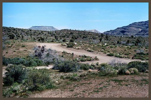 Canon FT QL and Kodak Ektar 100-mojave2.jpg