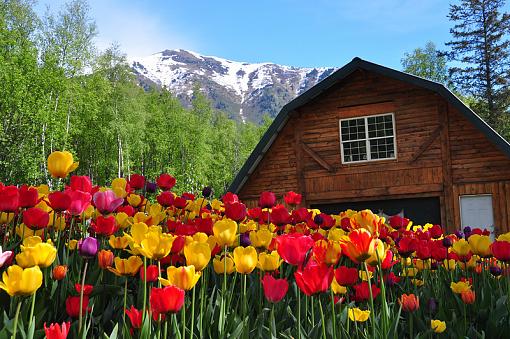 a visit to a nursery ....-barn.jpg