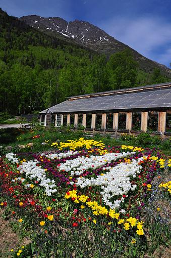 a visit to a nursery ....-sailboat.jpg