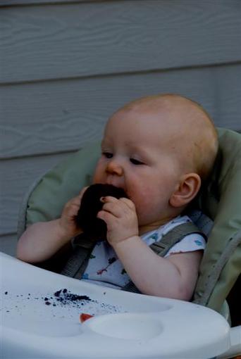 First Birthday Cake     img. heavy-dsc_1683-medium-.jpg