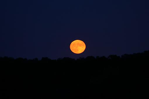 Post your lunar landscapes (the moon)-orange.blue.moon.jpg