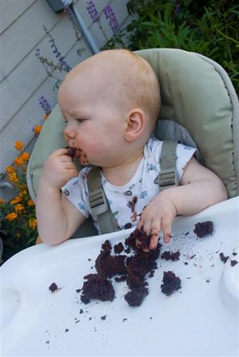 First Birthday Cake     img. heavy-dsc_1695-medium-.jpg