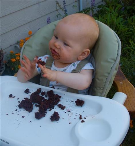 First Birthday Cake     img. heavy-dsc_1696-medium-.jpg