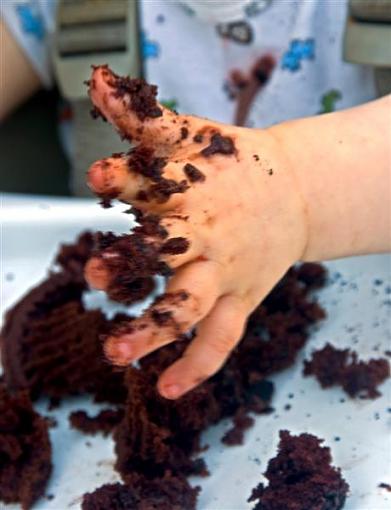 First Birthday Cake     img. heavy-dsc_1697-medium-.jpg