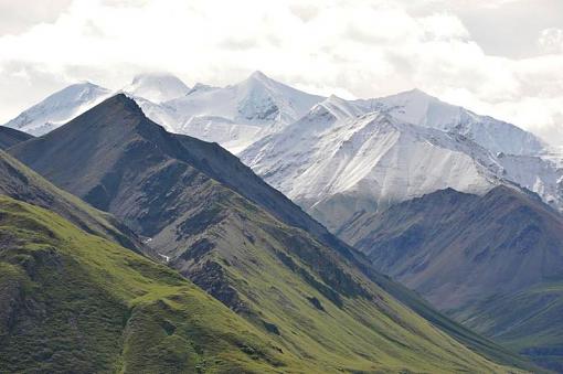 Photo of Alaska's Denali NP-dsc_3441.jpg