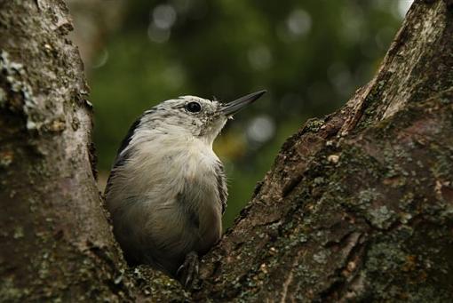 . . . a bird in the hand !-img_8238.jpg