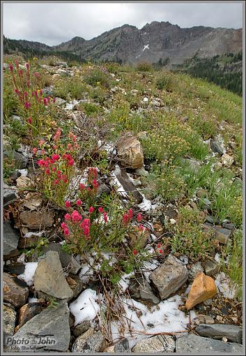 August Snow-_04c9891.jpg