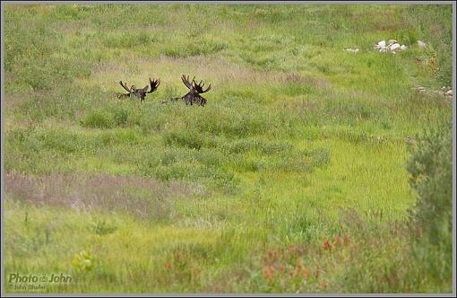 August Snow-_04c9954.jpg