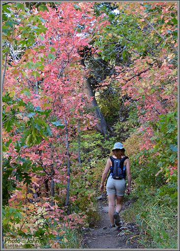 Early Fall Hike With A Twist-img_0090.jpg