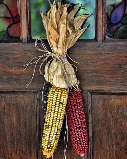 Fall photos.  Let's see them!-corn.jpg