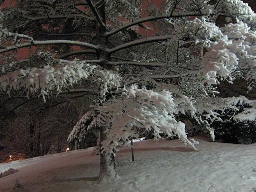 Snow brings chaos to the Paris area - by S95-4383-019.jpg