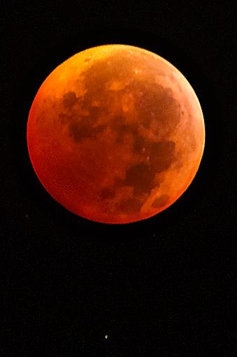 Holiday Total Lunar Eclipse-eclipse_dsf7438.jpg