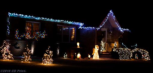 May your Christmas be Bright.-xmas2010-004.jpg