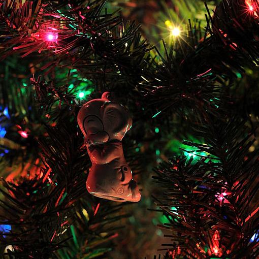 Christmas Ornaments-20101229_2.jpg