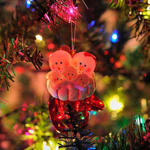 Christmas Ornaments-20101229_4.jpg