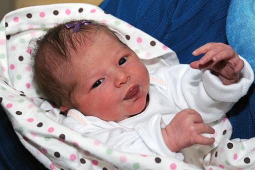 Say Hello to Lexi Joy-dsc_5315-2-800.jpg