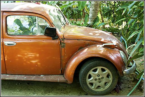 Weathered, Battered and Neglected-vw2.jpg