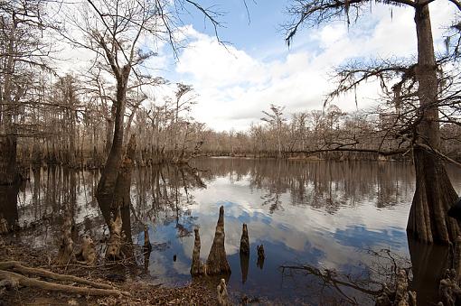 Local Mississippi scenery-_dsc3327.jpg