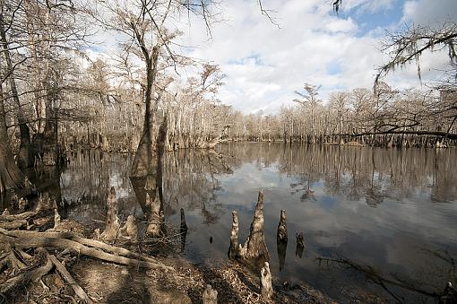 Local Mississippi scenery-_dsc3335.jpg