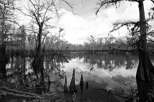 Local Mississippi scenery-jeff_dsc3327bwg2.jpg