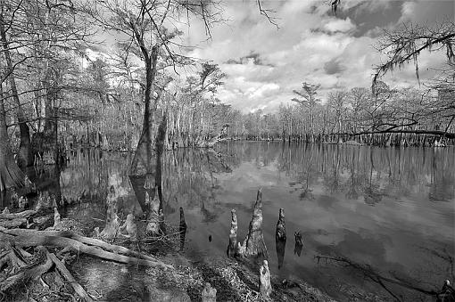 Local Mississippi scenery-_dsc3335_2.jpg