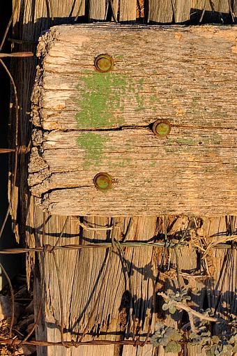 Weathered, Battered and Neglected-dsc_3889-2c-800.jpg