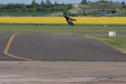 Lotus aerodynamic testing-_a3p3143.jpg