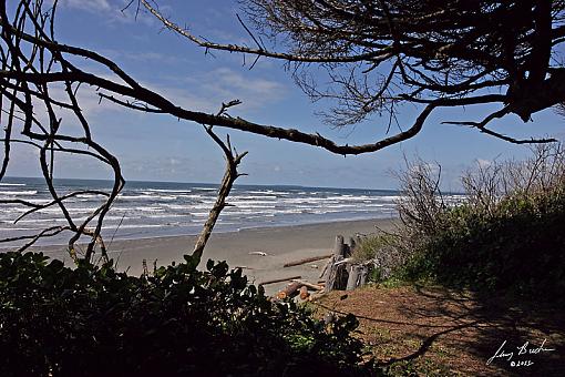 Kalaloch, Wa-jdb_0346-copy.jpg