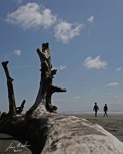 Kalaloch, Wa-jdb_0379.jpg