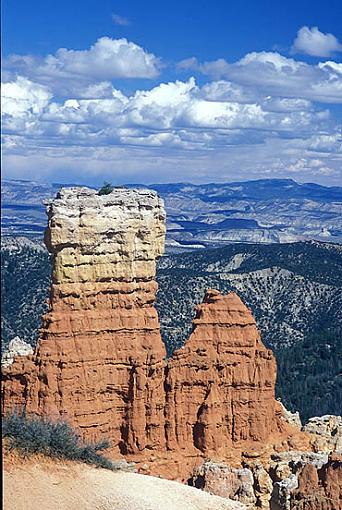 Utah at random-hoodoos-bryce-canyon.jpg