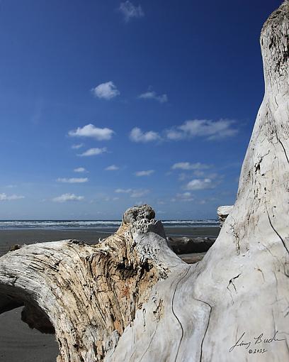 Kalaloch, Wa-jdb_0392-copy_edited-1.jpg