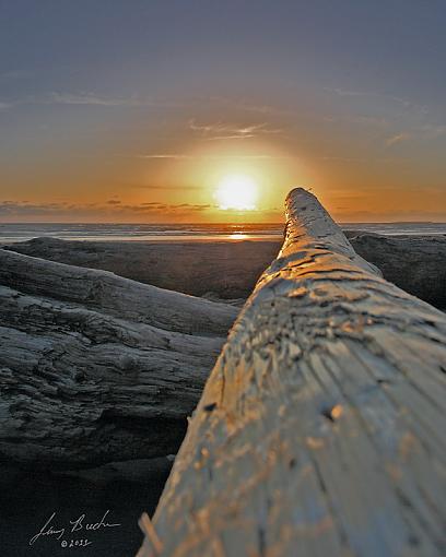 Kalaloch, Wa-jdb_0439-copy.jpg