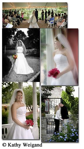 Some recent weddings-weddings.jpg