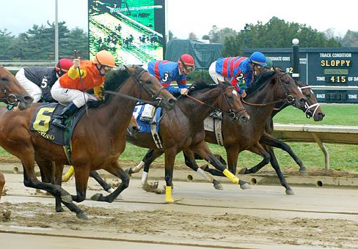 A day at the track....-sloppy.jpg