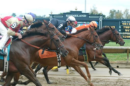 A day at the track....-front-stretch.jpg