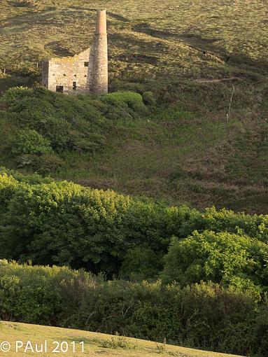 wheal basset-p5251008.jpg