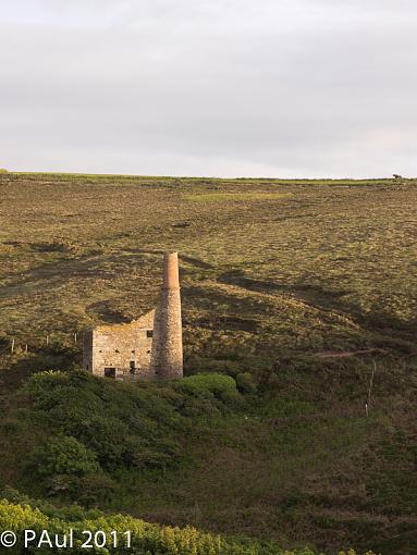 wheal basset-p5251009.jpg