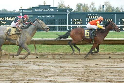 A day at the track....-dsc_3979.jpg