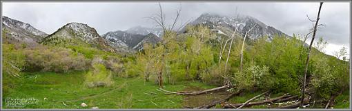 Memorial Day Weather?-neffs_cyn_pano_550.jpg