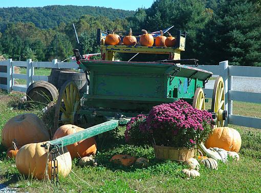 theme: Orange, orange,everywhere-green-wagon.jpg