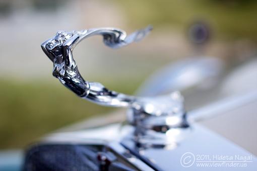 Hood ornaments-5dm21_7867.jpg